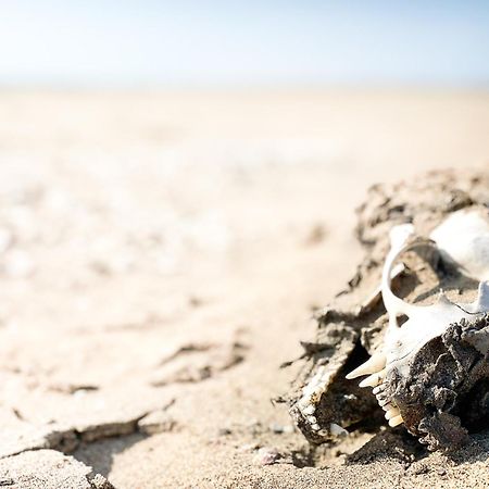 Skeleton Beach Backpackers 斯瓦科普蒙德 外观 照片